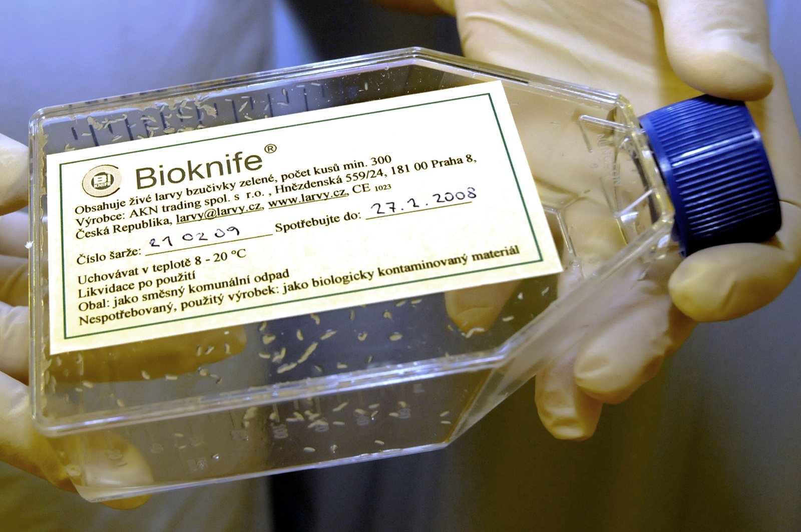Set Bioknife se sterilními larvami bzučivky zelené (Lucilia sericata)